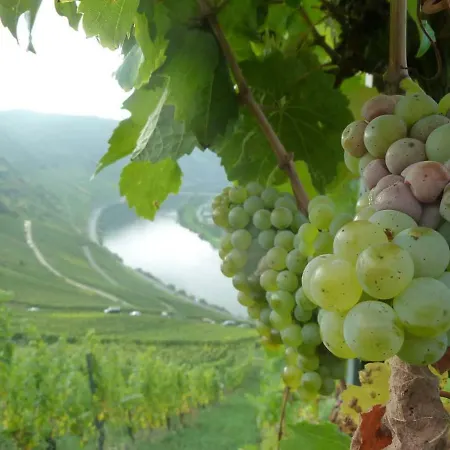 Der Weinladen Accommodatie bij particulieren