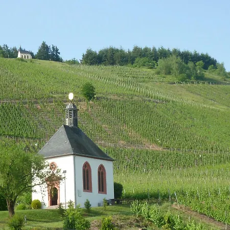 Der Weinladen בית אירוח Kröv
