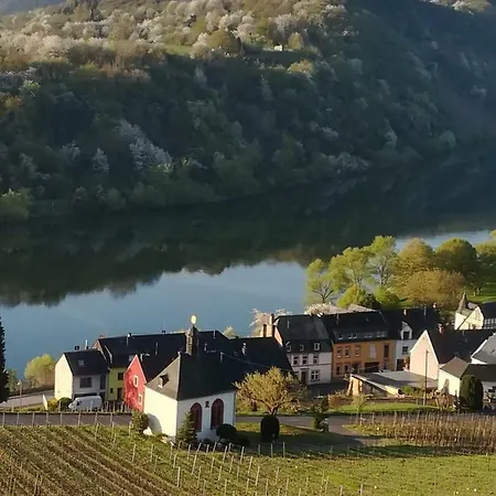 Der Weinladen * Kröv