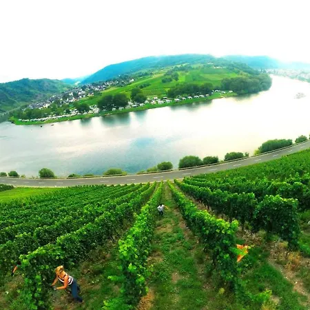 Der Weinladen *