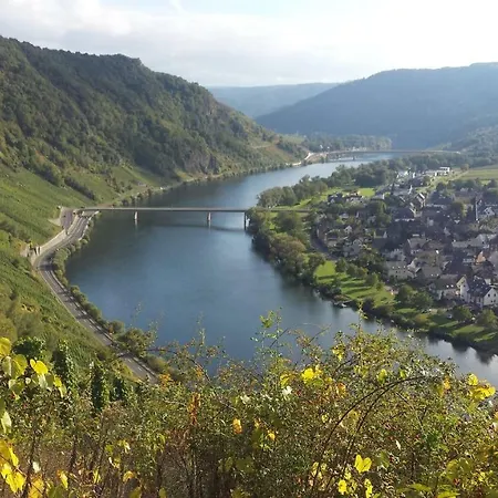 Der Weinladen Kröv
