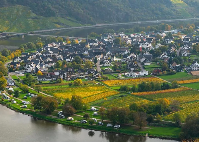 Der Weinladen ホームステイ