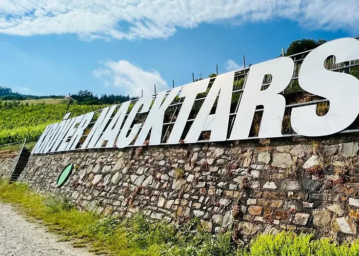 Der Weinladen Ubytování v soukromí Kröv