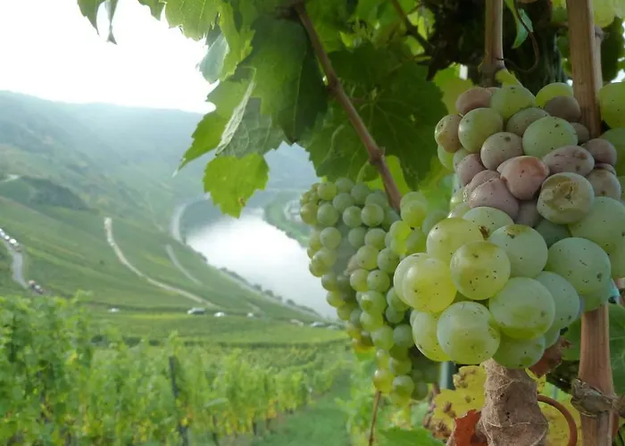 Der Weinladen ホームステイ