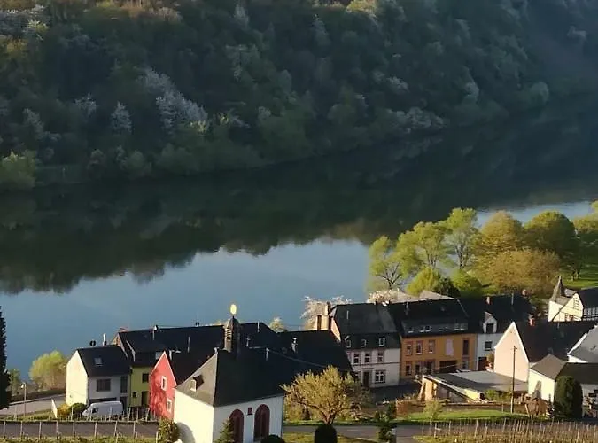 Der Weinladen * Kröv